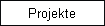 Projekte